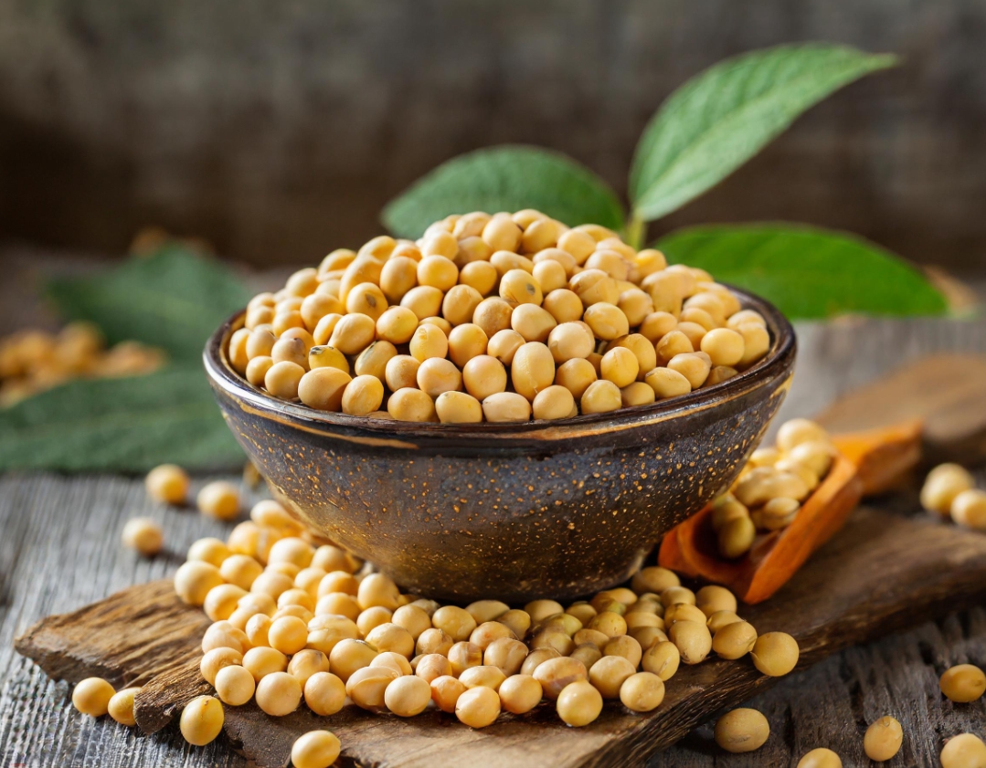 proimages/2024/Firefly_Soybean_food_15248.jpg