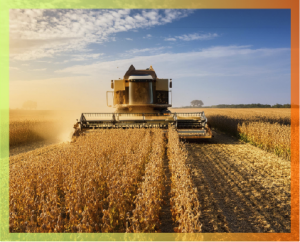 【American Soybeans: Leading the Future of Plant-Based Protein】